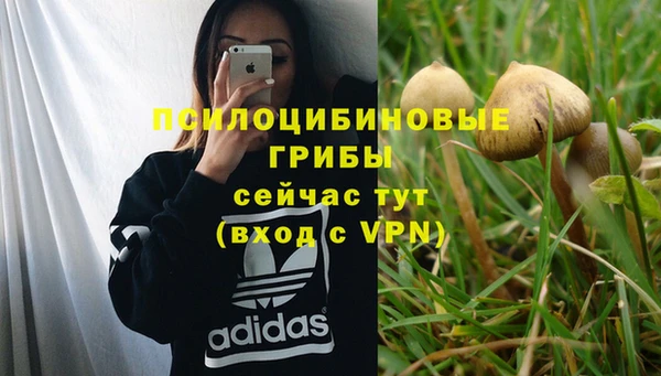 jwh Горняк