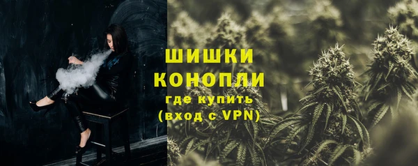 сатива Горнозаводск