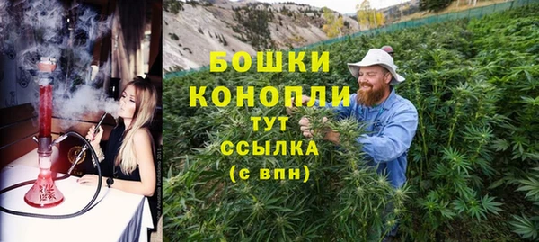 сатива Горнозаводск