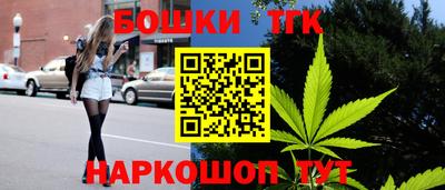 гидра Боровичи