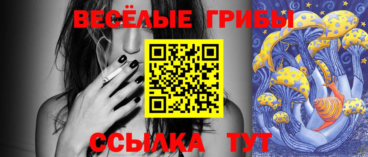 Псилоцибиновые грибы Psilocybe Волоколамск
