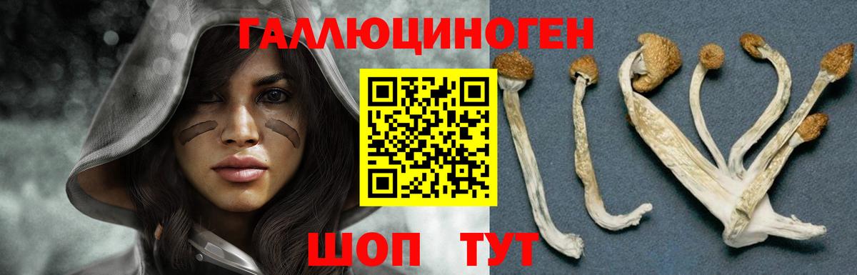 Галлюциногенные грибы мухоморы  Вход с VPN  Волоколамск  Псилоцибиновые грибы прущие грибы 